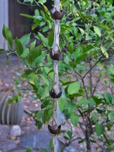 Nutshell Stores Lotus Rain Chain - 11 Feet