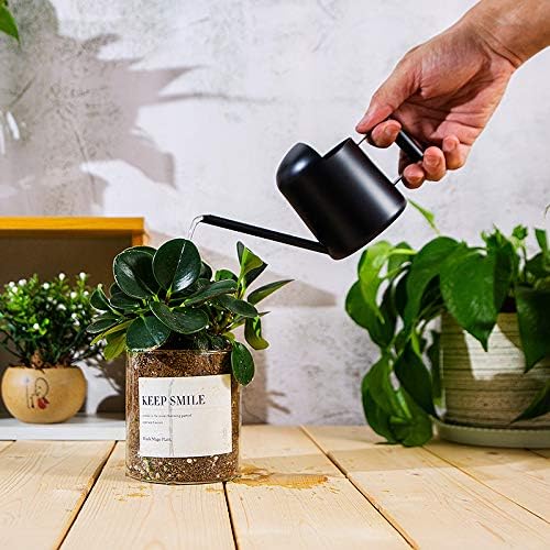 Watering Cans, 10oz/300ml Stainless Steel Long Spout Small Watering Sprinkling Pot, Indoor Outdoor Garden Flower Succulents Plant Watering Cans, Stylish Gardening Decoration(Black)