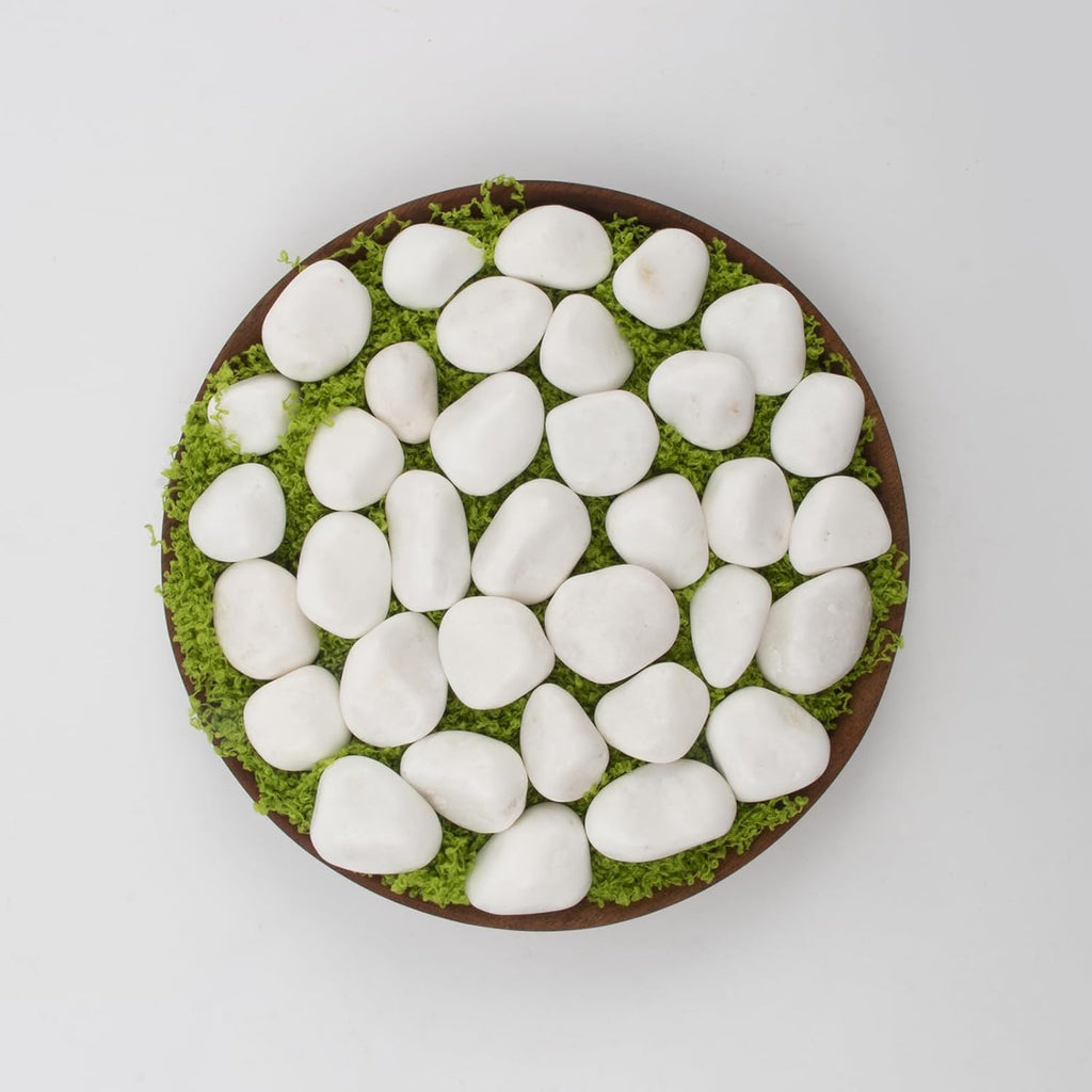 20 lbs White Polished Garden Stones, 0.5-1 Inch Decorative Rocks for Landscaping, Pathways, Yard Borders, Pots, Aquarium Decoration, and DIY Craft Projects (Pure White, Weight: 20 LB)