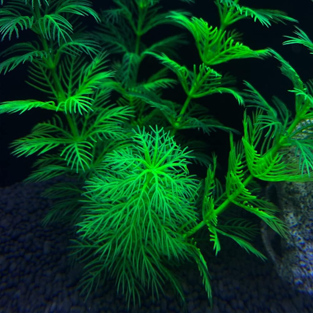 Artificial Aquarium Plants Plastic, Fake Plants for Aquarium Fish Tank, Realistic Plant 10PCS