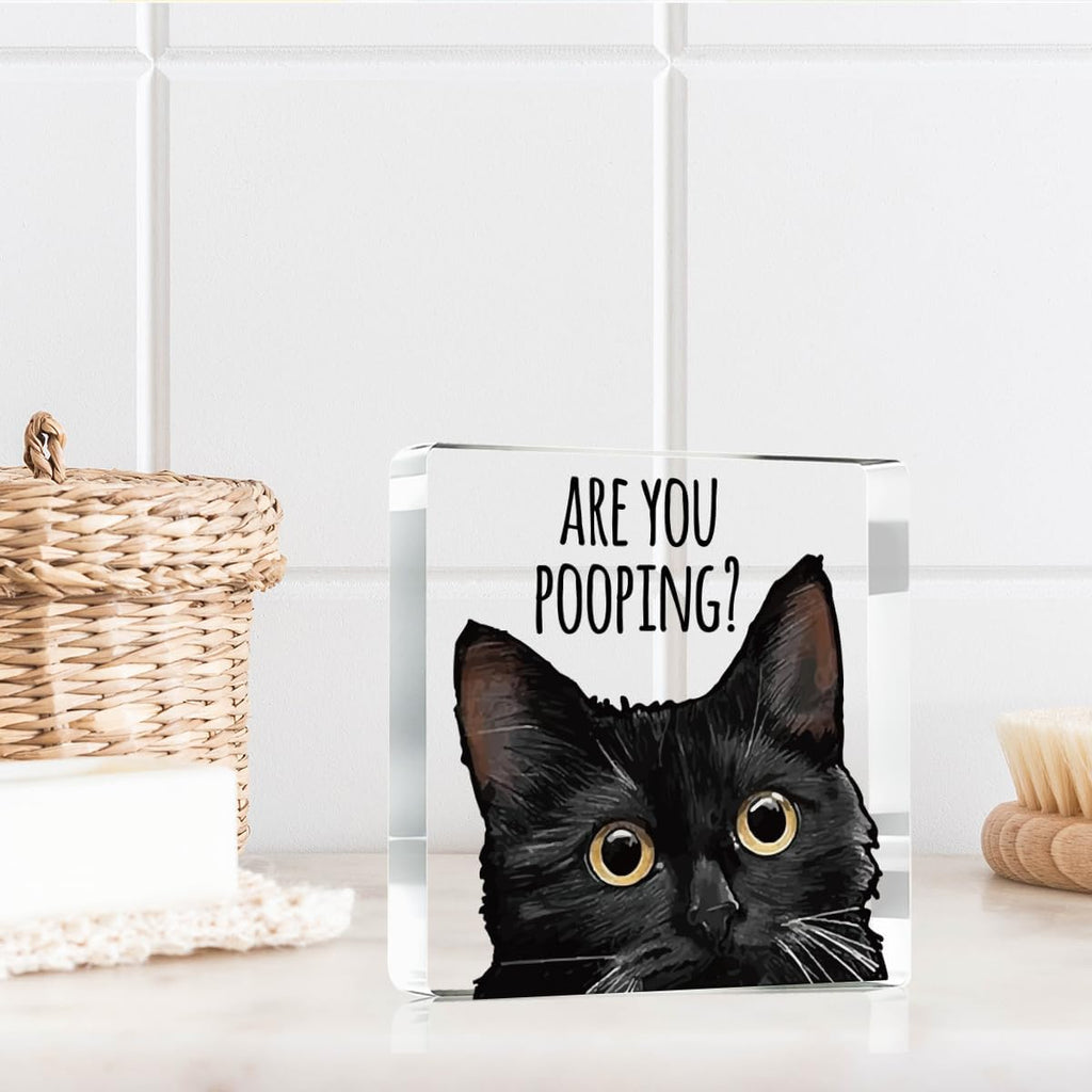 Are You Pooping Funny Sign，Black Cat Decor, Cat Bathroom Acrylic Decor，Home Decor Bathroom Creative Gift Cat Gifts for Women Cat Lovers，Funny Decorate Retro for Home Toilet