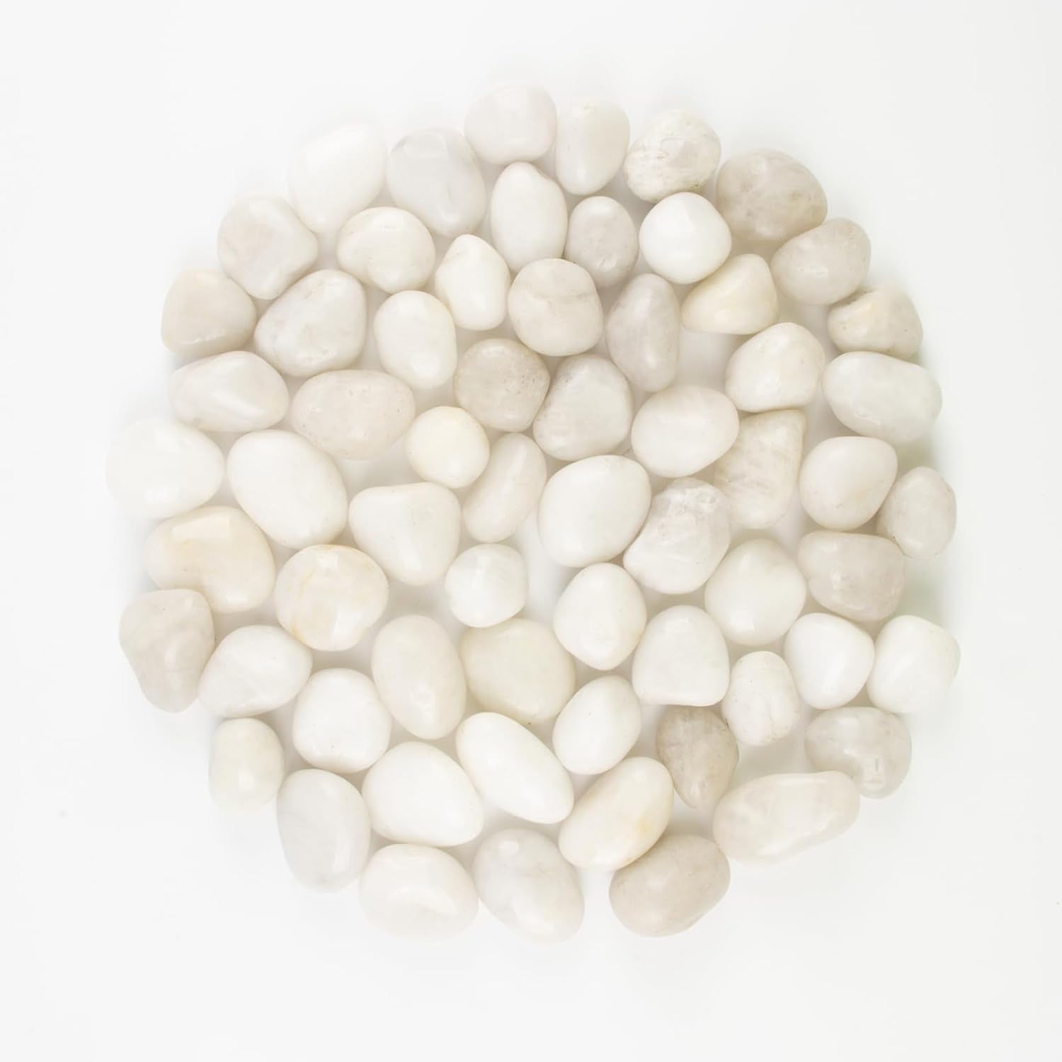 River Rocks - Natural Polished White Pebbles, 0.5-1 inch, 10 Lbs - Ideal for Indoor Planting, Vase Filling, Aquarium Decoration, and Garden Landscaping (White, Weight: 10 LB)