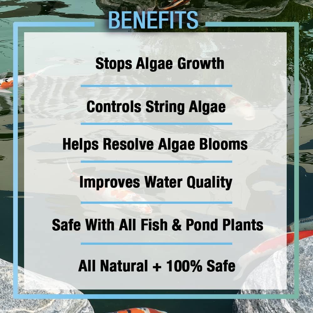 MICROBE-LIFT ALGA32 Algaway 5.4 Algae Control Treatment for Ponds and Water Gardens, 32 Ounces & MLCBSE1L Concentrated Barley Straw Extract Conditioner for Ponds and Outdoor Water Garden,32 Ounces