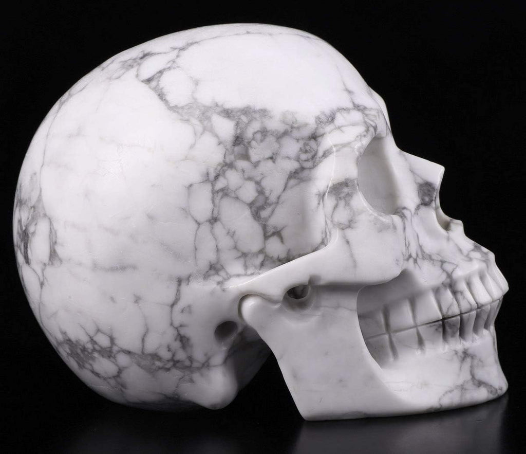 Skullis 5.0" Howlite Crystal Skull, Hand Carved Gemstone Fine Art Sculpture, Reiki Healing Stone Statue.