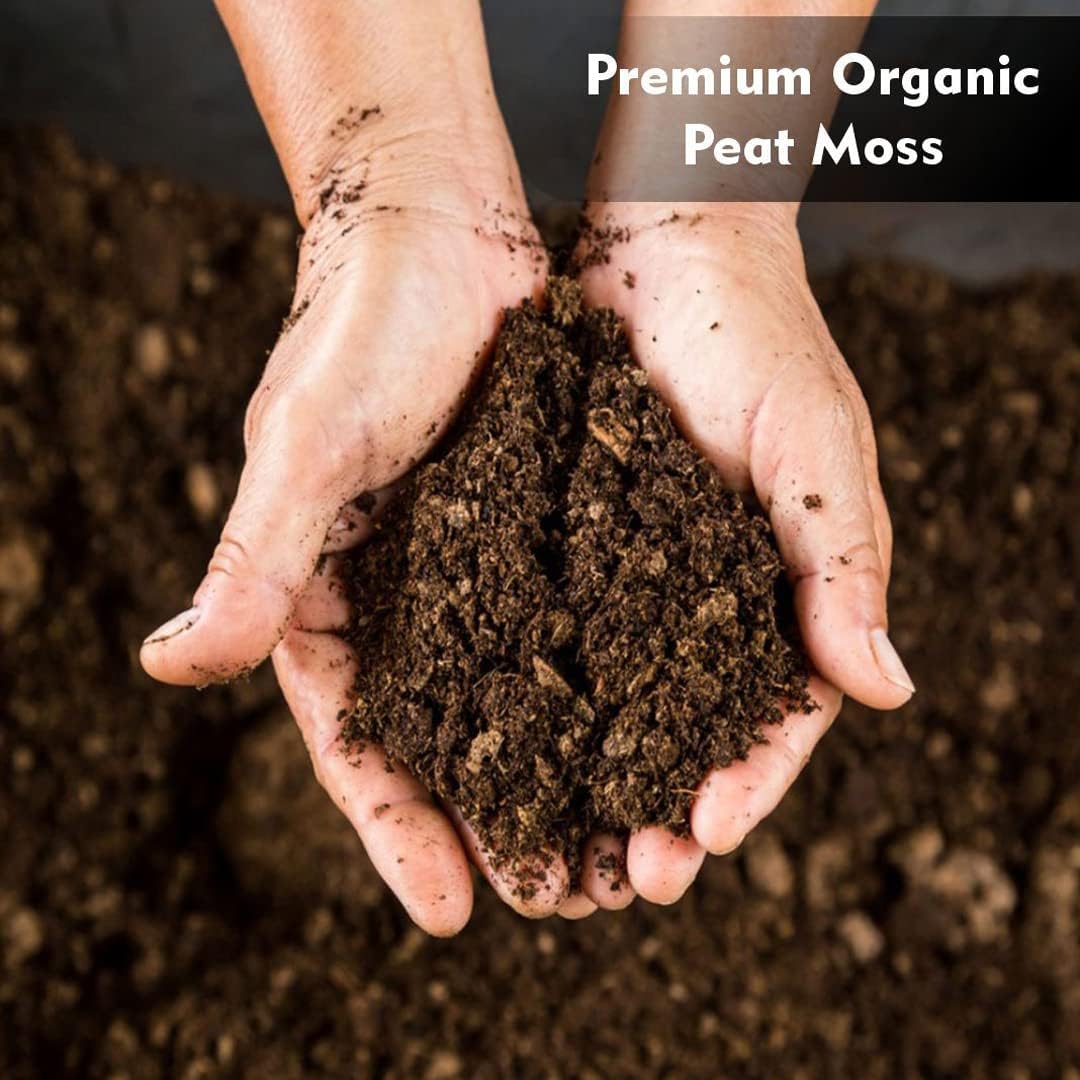 Organic Peat Moss, 3.8 Cu. Ft. – 100% Sphagnum Peat Moss, SEMI Compressed, for Potted Plants & Seed Starting – Organic Gardening for Indoor and Outdoor use (3.8 Cu. Ft.)