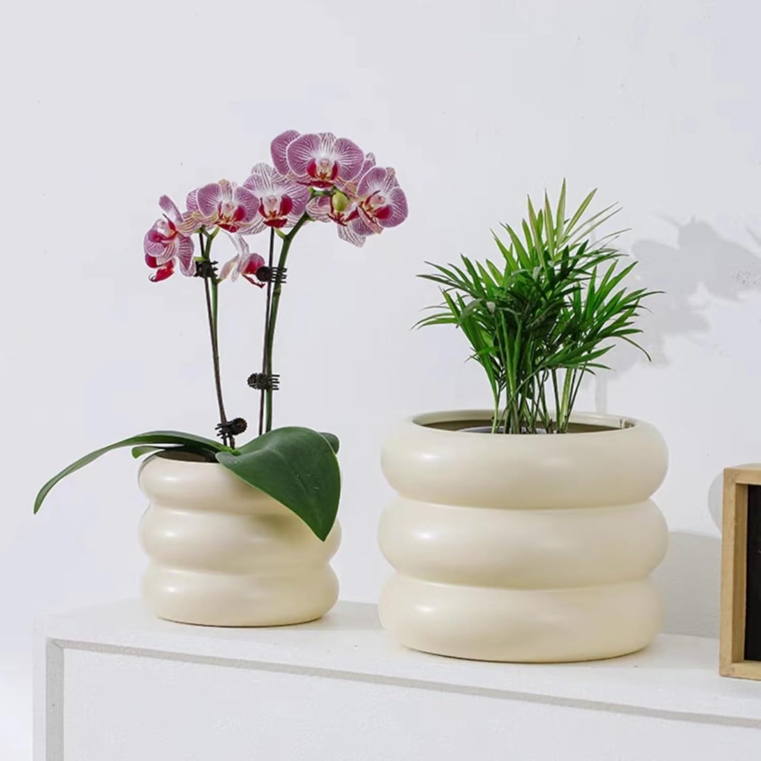 Ceramic Plant Pot Indoor, 6.5 Inch Flower Pot with Drainage Hole, Tiered Bubble Design Ceramic Planter for Home & Office Decor (Beige)