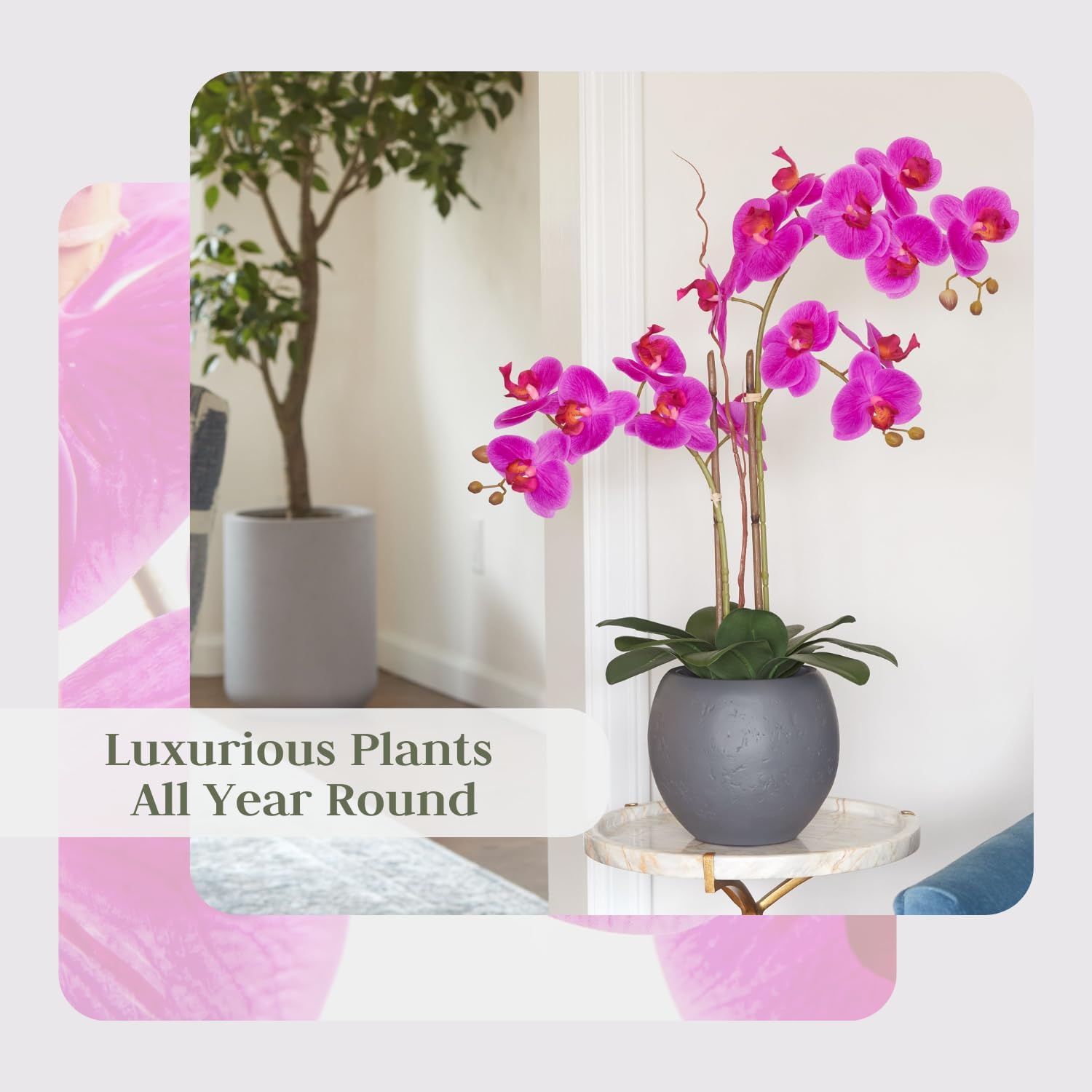Faux Pink Orchid Plant, Premium Artificial Indoor Flower Display Stands 25-Inches with Beautiful Sculptural Blooms and Foliage That Lasts Forever, Grey Planter Pot Included