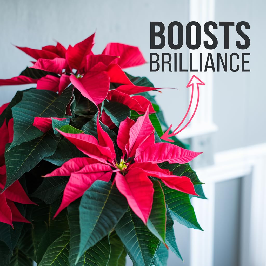 Premium Holiday Plant Food Mist - 3-1-2 Liquid Fertilizer Spray for Poinsettias, Christmas Flowers, and Greenery - 8oz