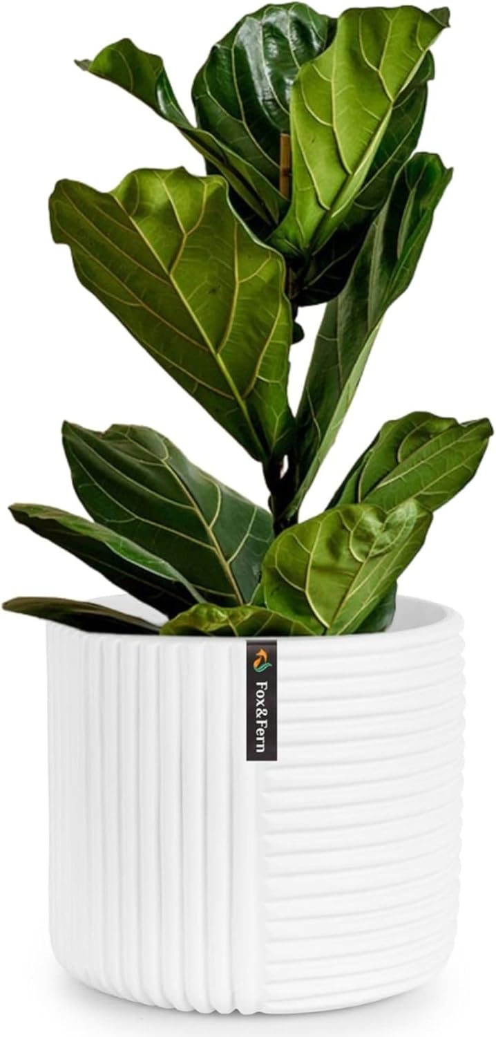 Fox & Fern 10 Inch Plant Pot with Drainage Plug — Premium Polystone White Plant Pot; Modern Planter with 3D Texture and Ceramic Finish; 10 Inch Pots for Plants Indoor & Outdoor
