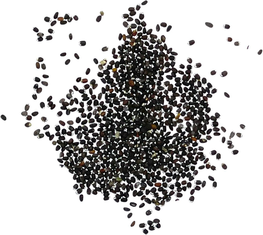 Seed Needs, Catmint Seeds for Cats - 600 Heirloom Seeds for Planting Nepeta mussinii - Perennial Flowering Medicinal Herb Non-GMO & Untreated (2 Packs)