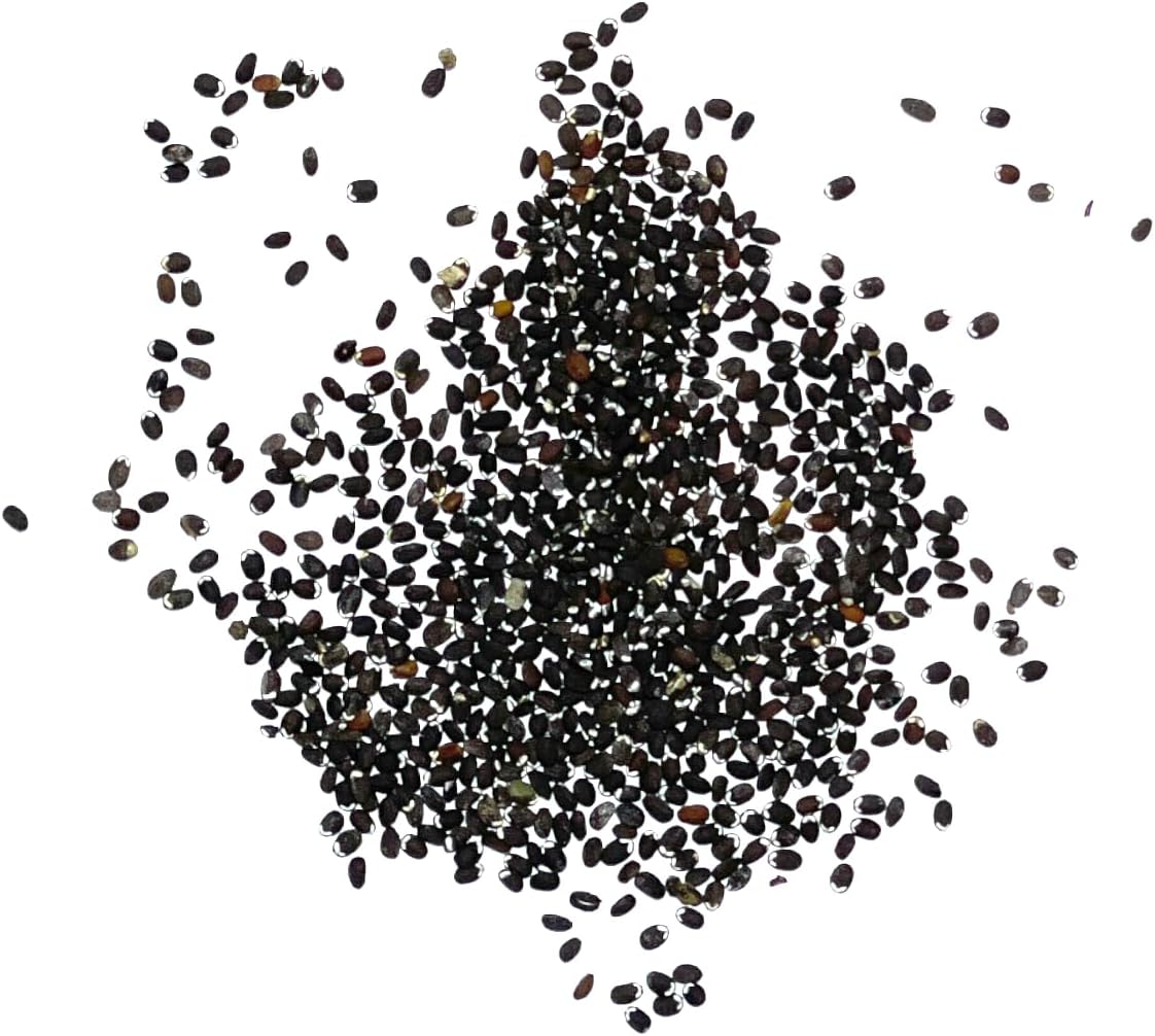 Seed Needs, Catmint Seeds for Cats - 600 Heirloom Seeds for Planting Nepeta mussinii - Perennial Flowering Medicinal Herb Non-GMO & Untreated (2 Packs)