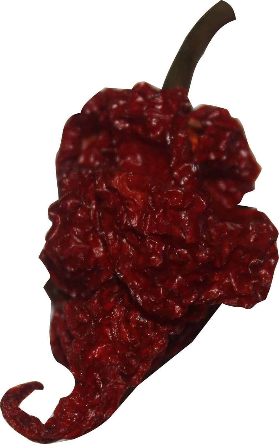 Red Tail Scorpion Chili Peppers 10 Dried Trinidad Seed Pods Plus 2 Free, Hotter than Ghost Pepper