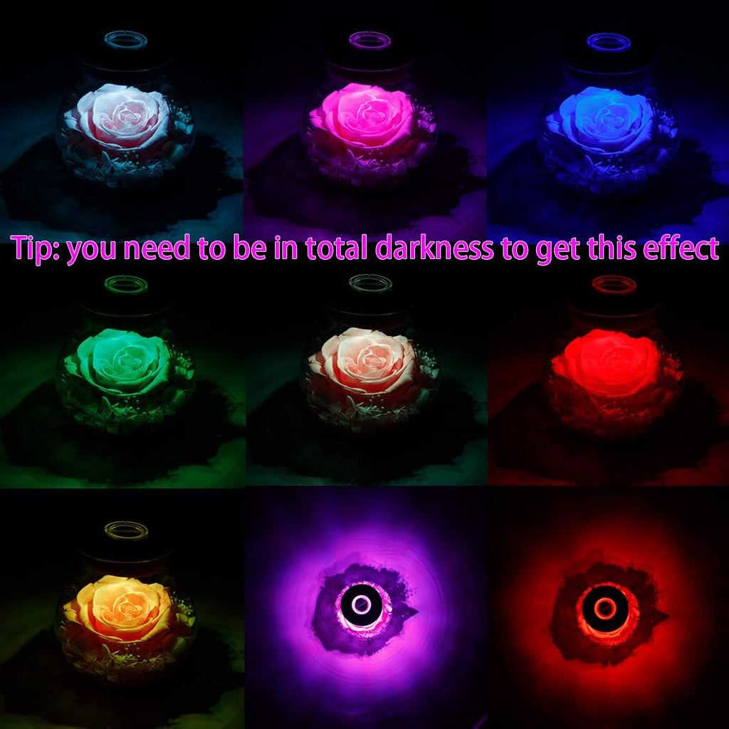 Preserved Real Roses with Colorful Mood Light Wishing Bottle, Eternal Rose，Never Withered Flowers, for Bedroom Party Table Decor, Christmas Decorations, a Gifts for Women 1pcs Pink