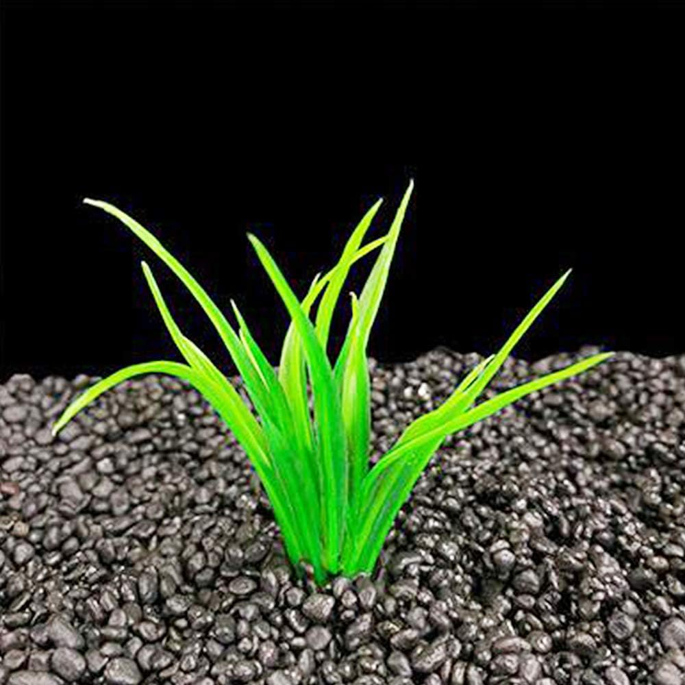 Smoothedo-Pets Aquarium Plant Fish Tank Decoration 20 Pieces Small/1" Tall Plastic Artificial Plant Goldfish Hidden Mini Grass Set (Green-B)