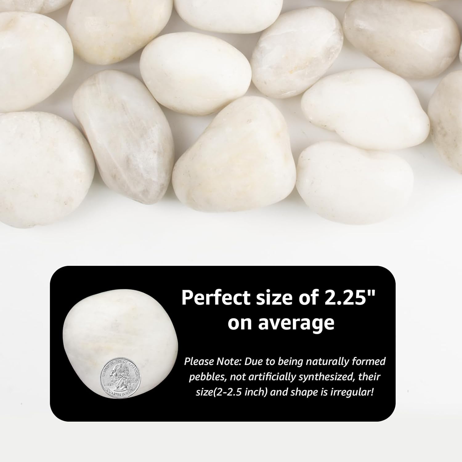 Natural Polished White River Rocks, 2-3 inches, 40 lbs - Perfect for River Rocks in Landscaping, Natural White Decorative Stones, Potted Plant Decorations, and Garden Design (White, Weight: 40 LB)