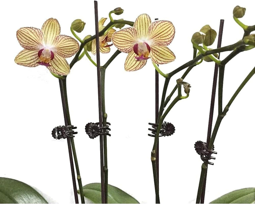 Plant Support Clips Reusable Garden Clips,100Pcs Medium Plant Clips,Tomato Support Clips,for Climbing Plants,Outdoor,Indoor Plants,Flowers,Stems,Vines Holding Clips (Brown)