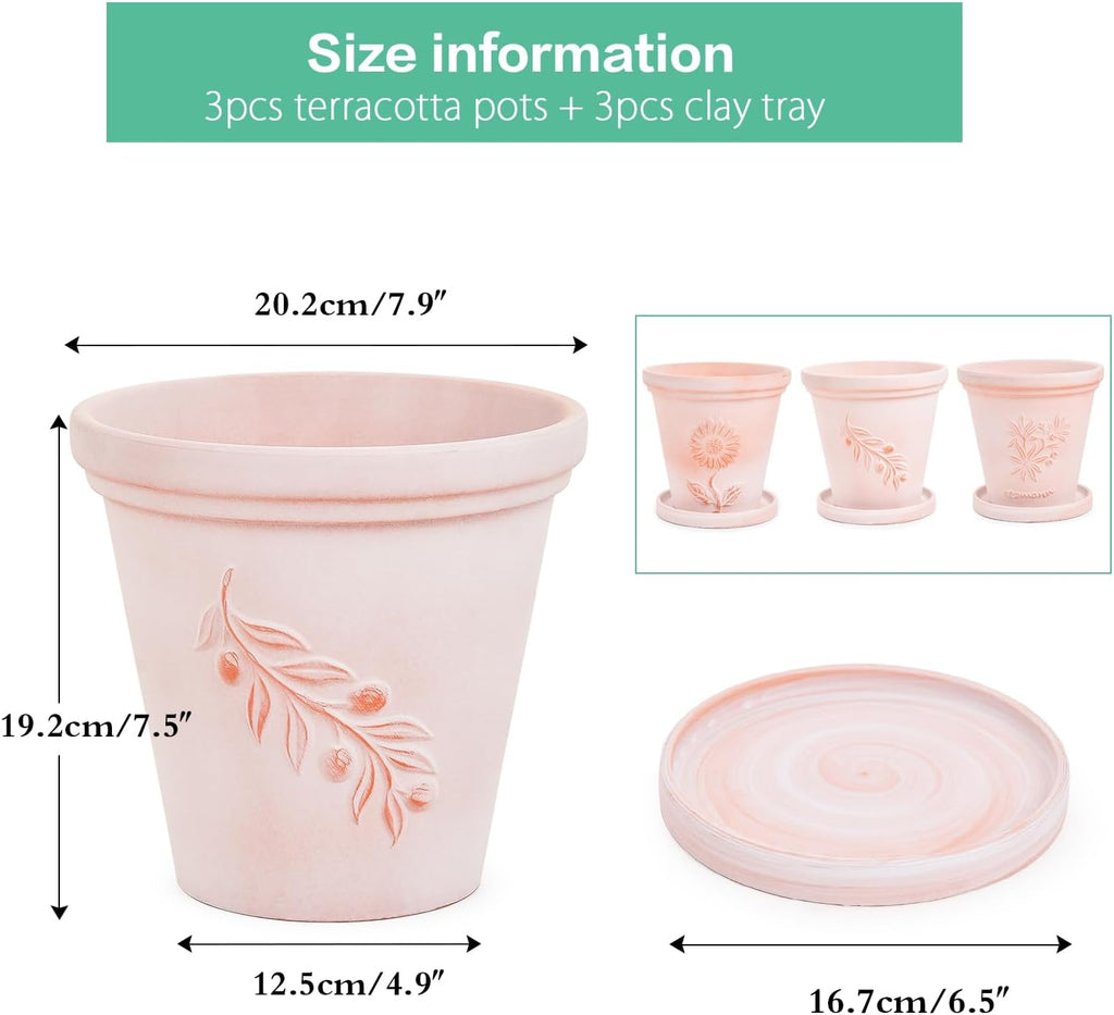 Sungmor Set of 3 Terra Cotta Pots with Saucer & Drainage Hole, 8 Inch Large & Deep Clay Pots, Unique Embossed & Pretty Color Pottery Planters for Plants Orchid Cactus Succulent