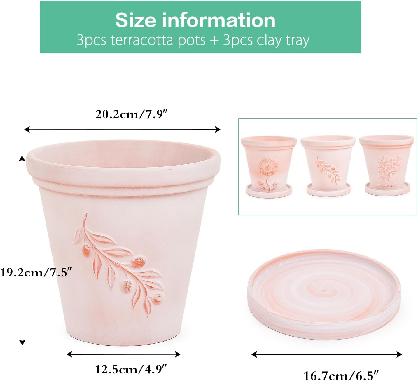 Sungmor Set of 3 Terra Cotta Pots with Saucer & Drainage Hole, 8 Inch Large & Deep Clay Pots, Unique Embossed & Pretty Color Pottery Planters for Plants Orchid Cactus Succulent