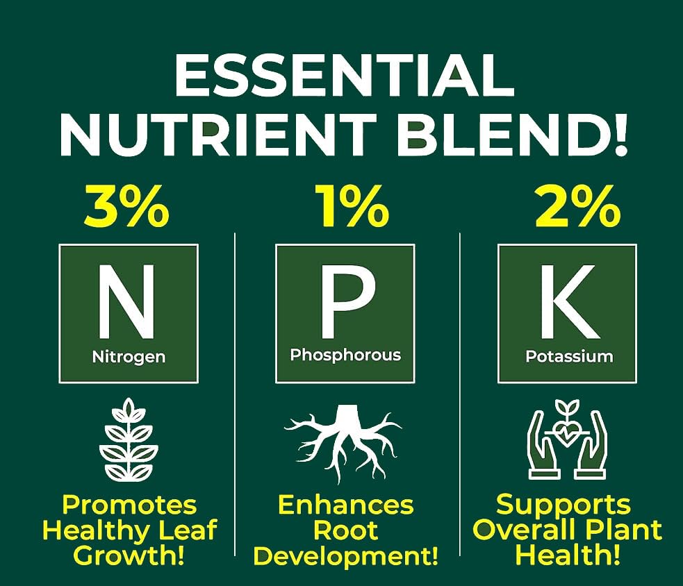 Professional Fiddle Leaf FIG Spray Fertilizer Mist for Home Gardening | 3-1-2 Gentle Blend Mist for Healthy Leaves & Growth | Essential Nutrients for Fiddle Leaf Figs - 8oz