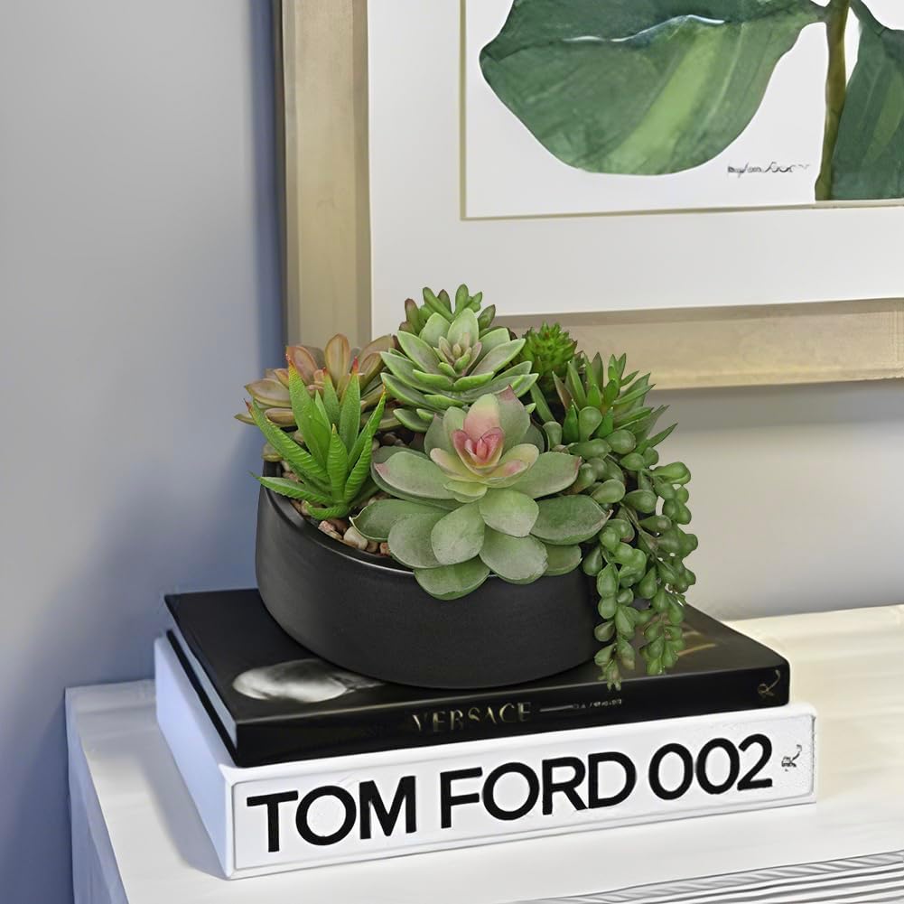 DILATATA Artificial Succulent Plants in Pot 5.5 Inch Fake Succulents Arrangement Potted Plant in Black Ceramic Planter Bowl for Home Office Desk Shelf Living Room Bedroom Bathroom Decor