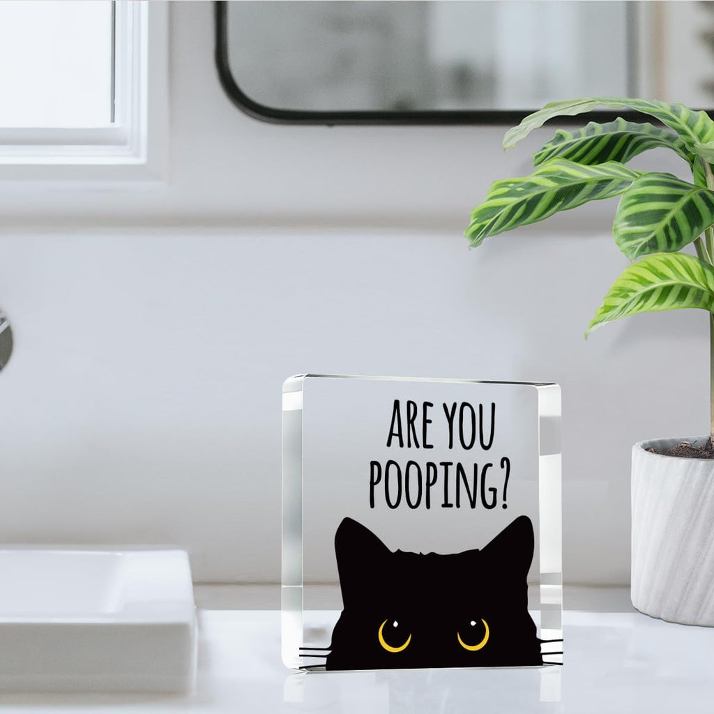 Are You Pooping Funny Sign，Black Cat Decor， Cat Bathroom Decor，Home Decor Bathroom Acrylic Creative Gift Cat Gifts for Women Cat Lovers，Funny Decorate Retro for Home Toilet 4x4 Inches