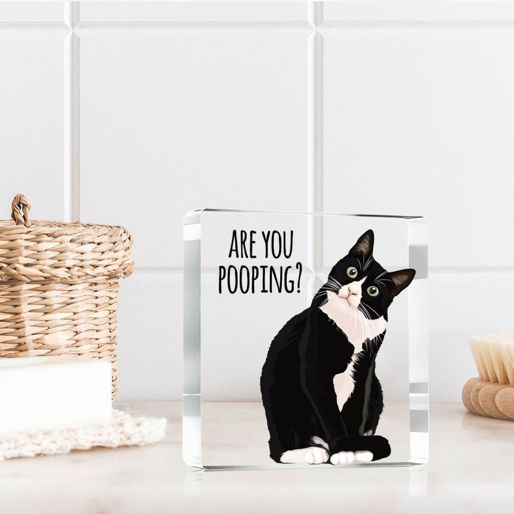 Are You Pooping Funny Sign，Black Cat Decor, Cat Bathroom Acrylic Decor，Home Decor Bathroom Creative Gift For Women Men，Funny Decorate Retro for Home Toilet
