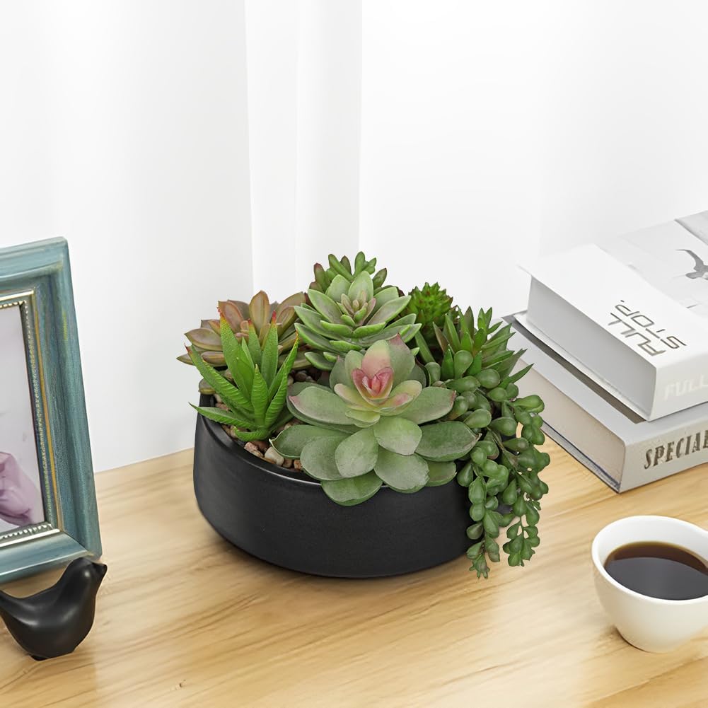 DILATATA Artificial Succulent Plants in Pot 5.5 Inch Fake Succulents Arrangement Potted Plant in Black Ceramic Planter Bowl for Home Office Desk Shelf Living Room Bedroom Bathroom Decor