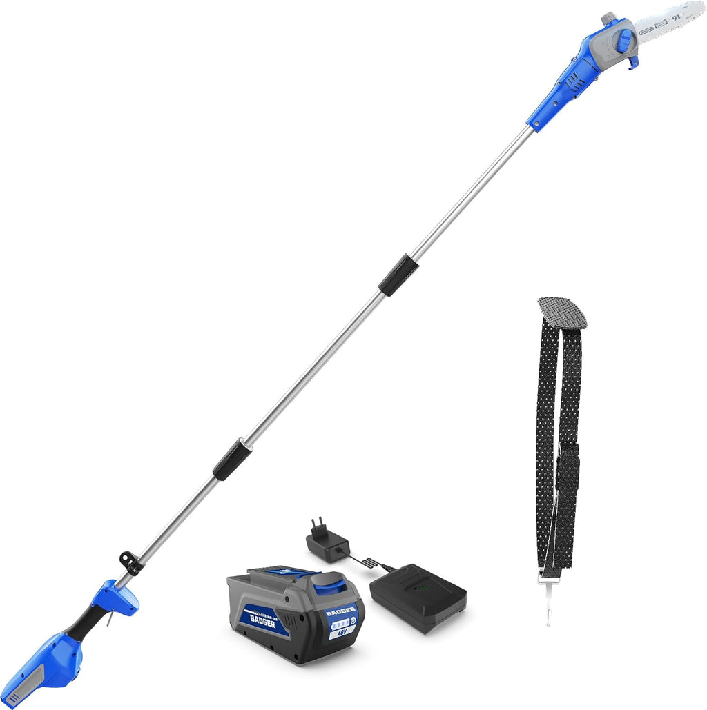 WILD BADGER POWER Pole Saw Cordless 40V 8'' Electric 2.0Ah with Detachable Pole, 2Ah Battery and Charger included
