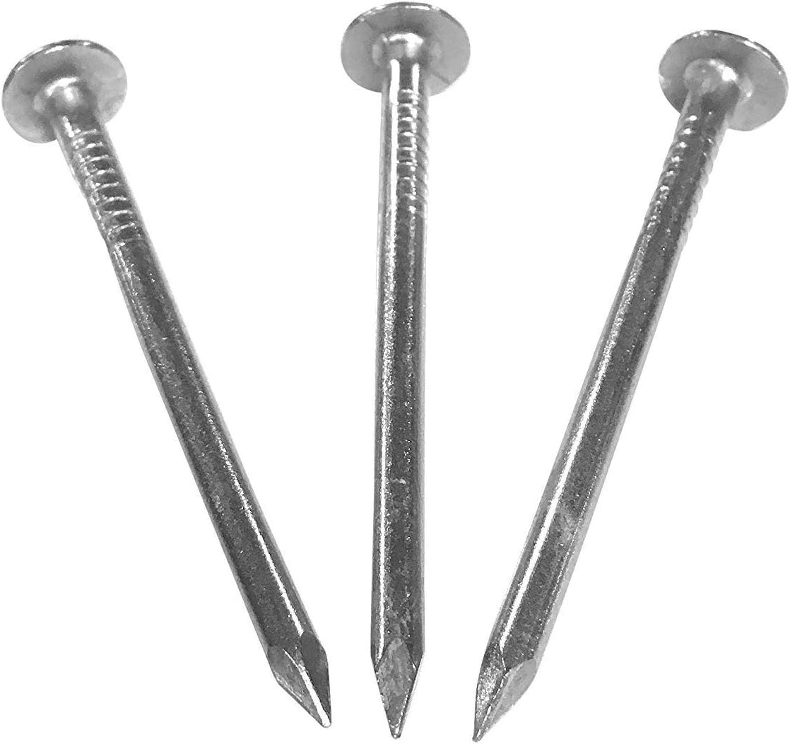 Eagle 1-26 Gauge 5 Foot Rain Diverter - Nails and Instructions Included (Mill Finish Aluminum, Copper, Galvanized, Stainless Steel & More) (3, White)