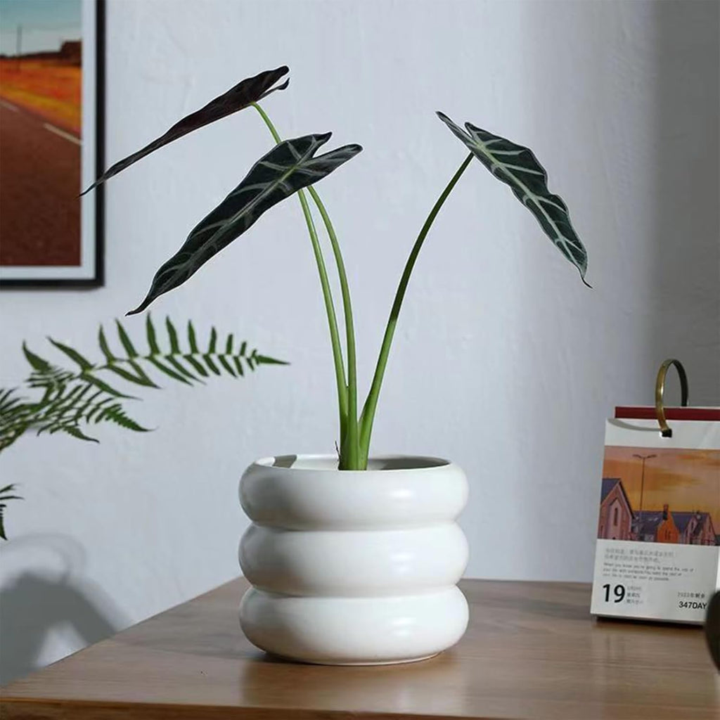 Ceramic Plant Pot Indoor, 6.5 Inch Flower Pot with Drainage Hole, Tiered Bubble Design Ceramic Planter for Home & Office Decor (White)
