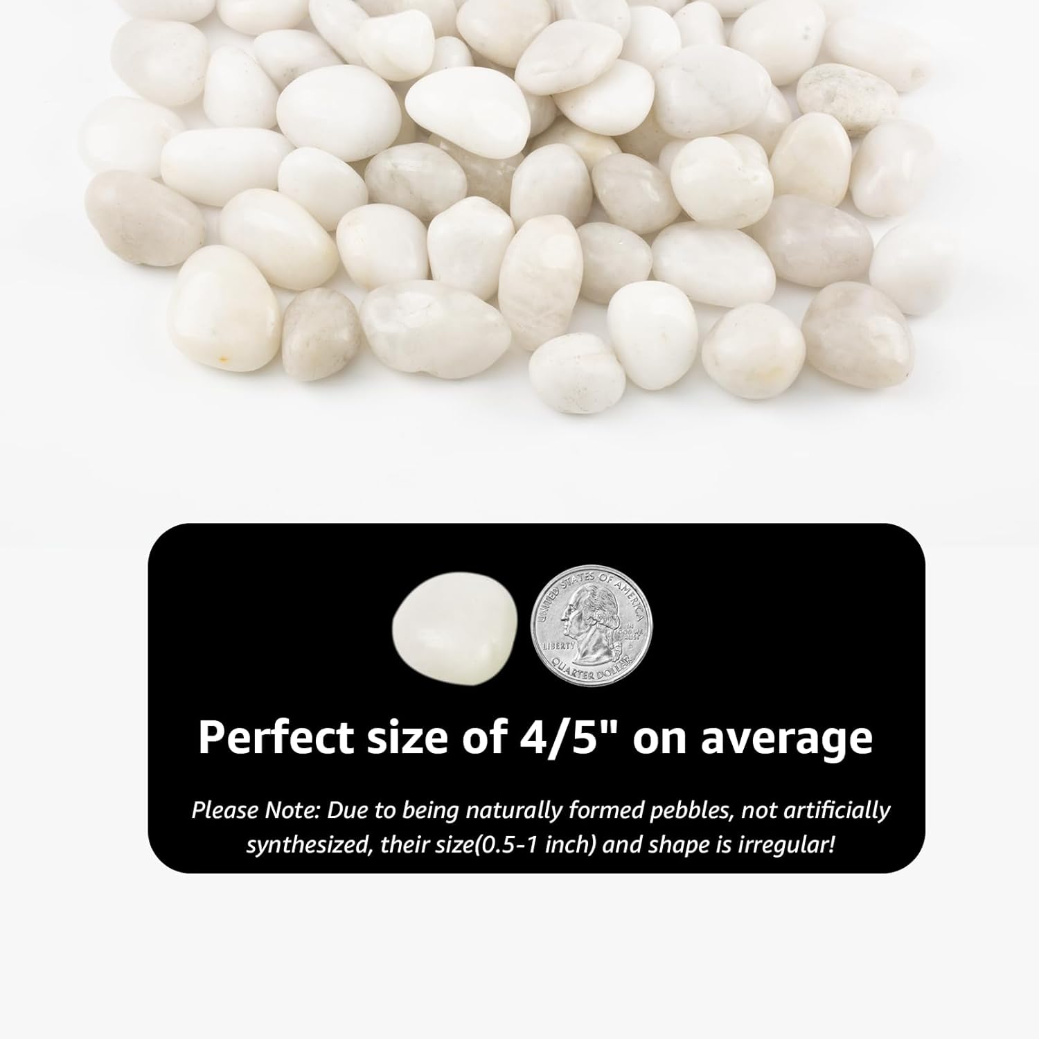 Natural White River Pebbles - LOOIOOJ 20 Lbs Polished Decorative Rocks, 0.5-1 inch, for Aquariums, Gardens, and Indoor Plant Drainage (White, Weight: 20 LB)