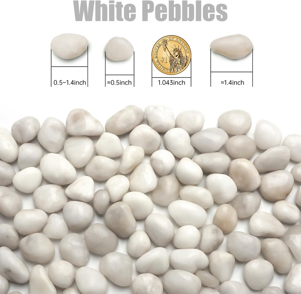 5 Lbs River Rocks for Plants,0.4-1.2 Inch Decorative Ornamental Pebbels, High Polished Stones for Garden Landscaping, Smooth Gravel Filler for Outdoor Plants, Succulents, Fish Tank and Vases, White