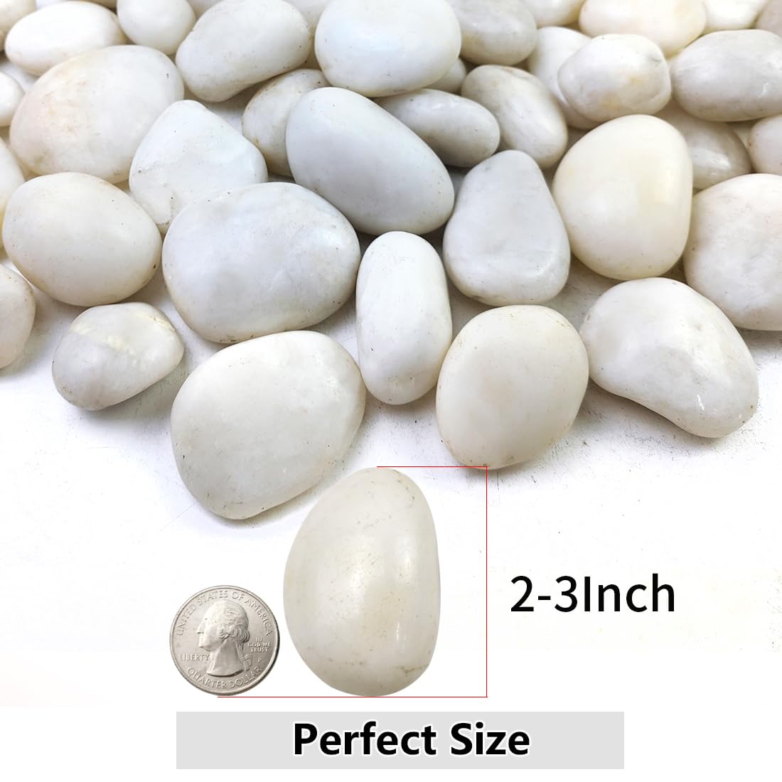 20lbs White River Rocks for Landscaping, 2-3 Inch Natural Pebbles for Indoor Plants, High Polished Decorative Stones Vase Filler Fish Tank Aquariums Garden Outdoor and Indoor DIY