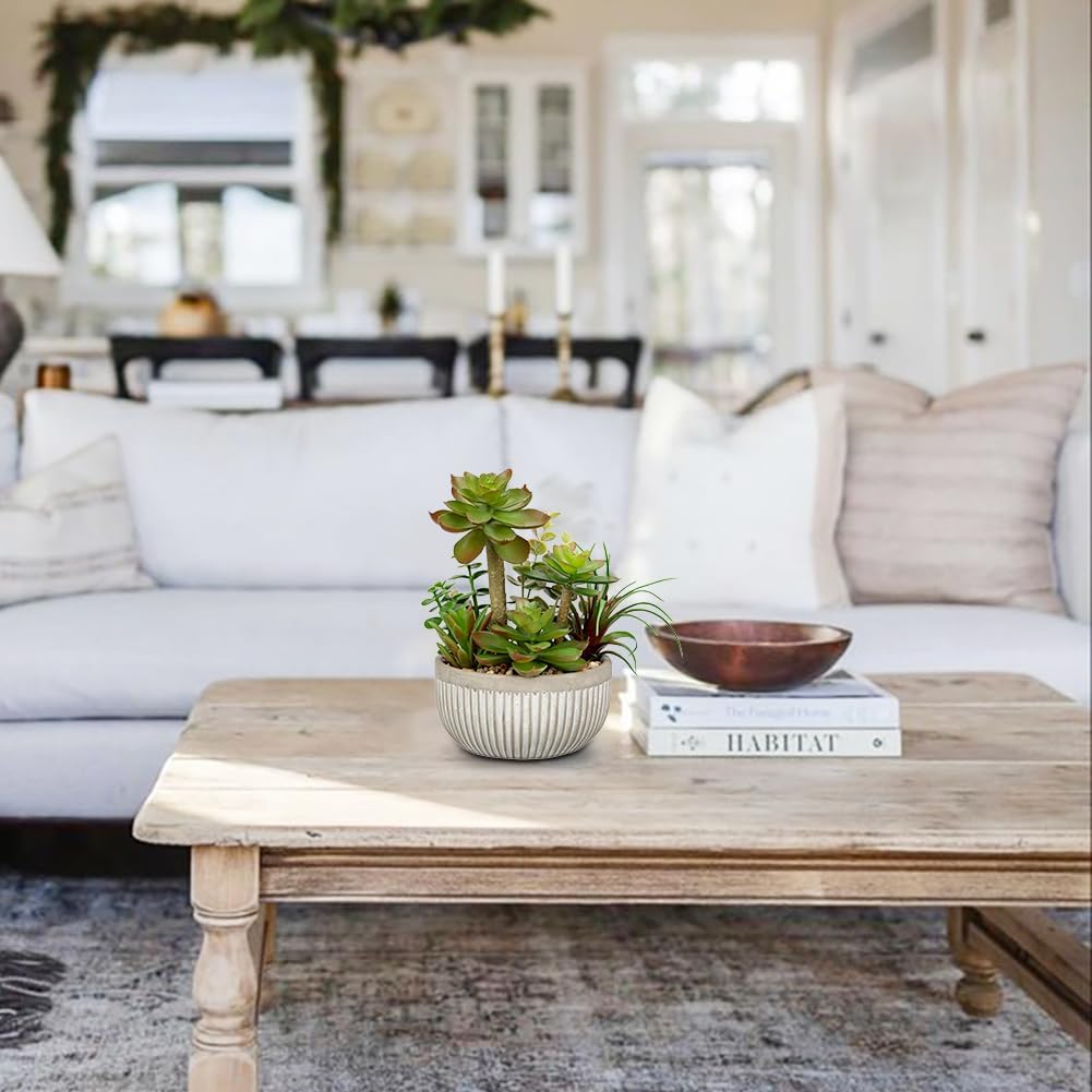 DILATATA Small Faux Plant Assorted Fake Succulents Plants Faux Succulents Arrangement Cement Potted Desk Plants Small Fake Plants for Home Table Office Bathroom Shelf Living Room Decor