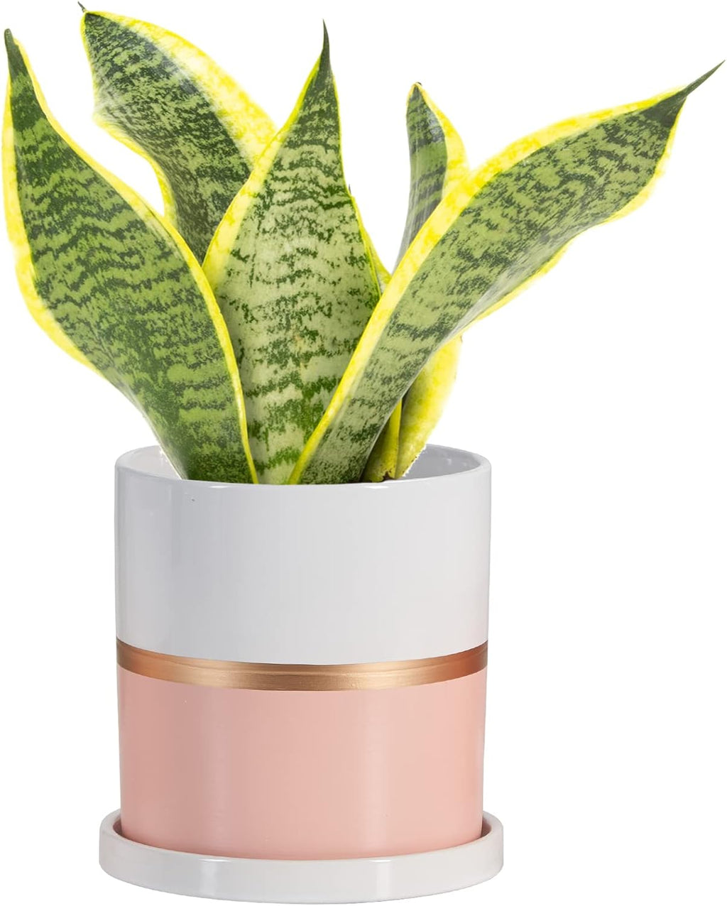Ekirlin 4 inch Plant Pot - Ceramic Flower Planters Indoor - Modern Succulents Containers with Drain Hole Saucer, Decorate Home, Office & Outdoor (Pink)