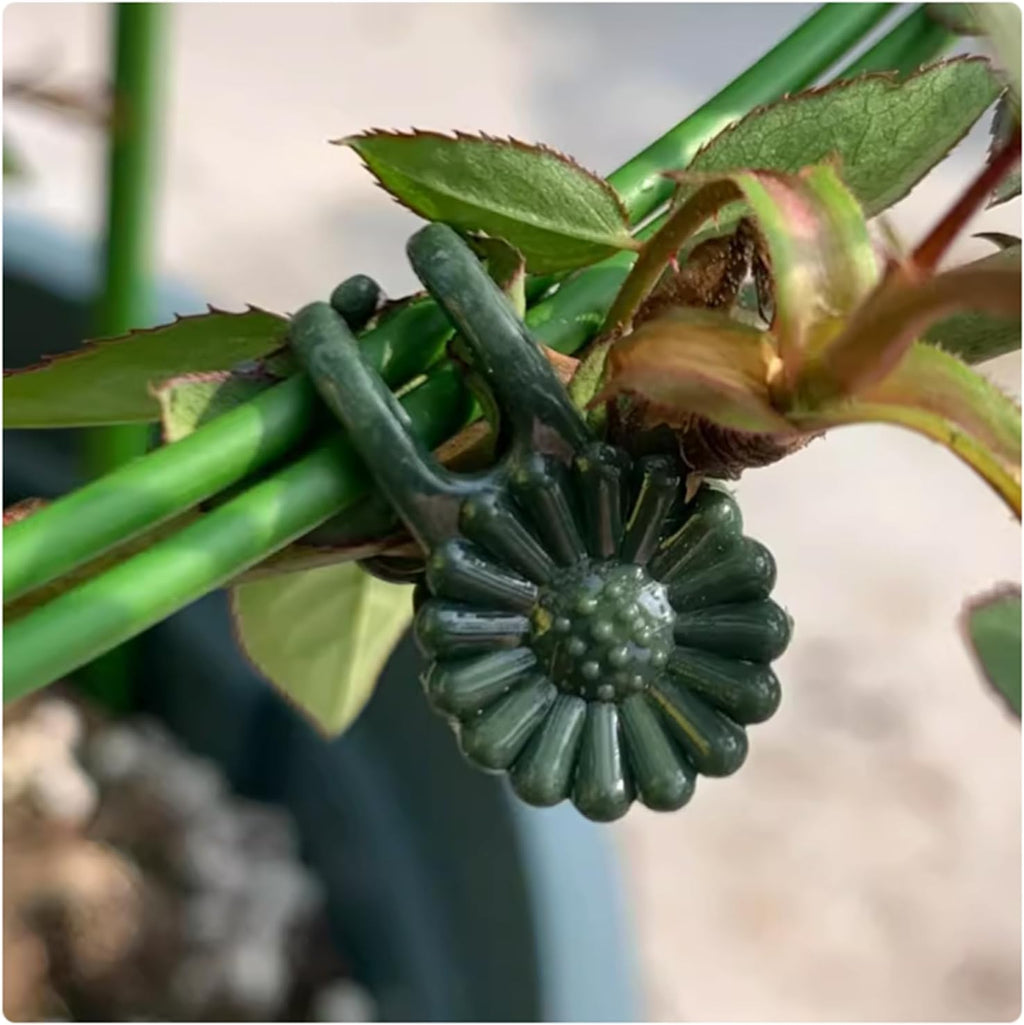 100Pcs Small - Middle Plant Clip,Daisy Garden Flower Plant Clip,for Orchids Vine Clip Support Stem Vine Upright Growth (Green)