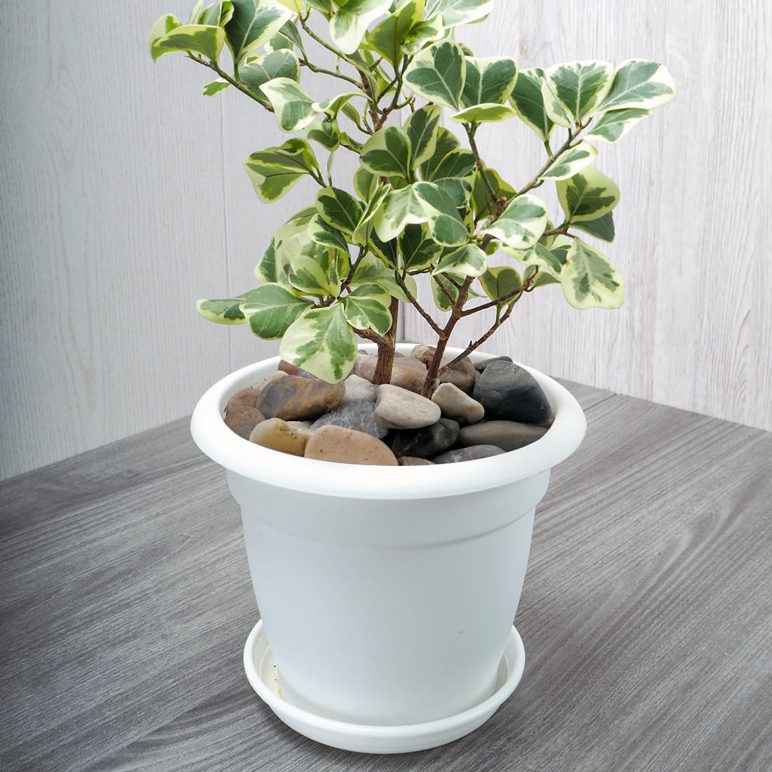 5lbs Aquarium Rocks, 5/8" Natural Mixed Pebbles for Plants Decorative Polished River Rocks for Fish Tank, Landscaping, Gardening, Flower Pots, Vase Fillers, Indoor Water Fountains