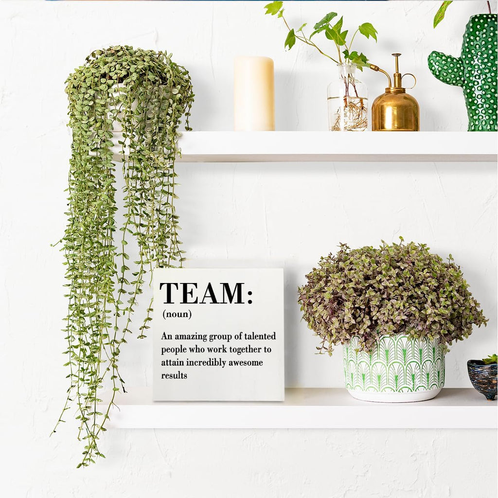 HTBIG Inspirational Team Noun Office Decor Desk Decor Wooden Box Sign Rustic White Wood Block Plaque Box Sign for Home Office Desk Shelf Table Decoration Coworker Gift Team Definition Teamwork Sign