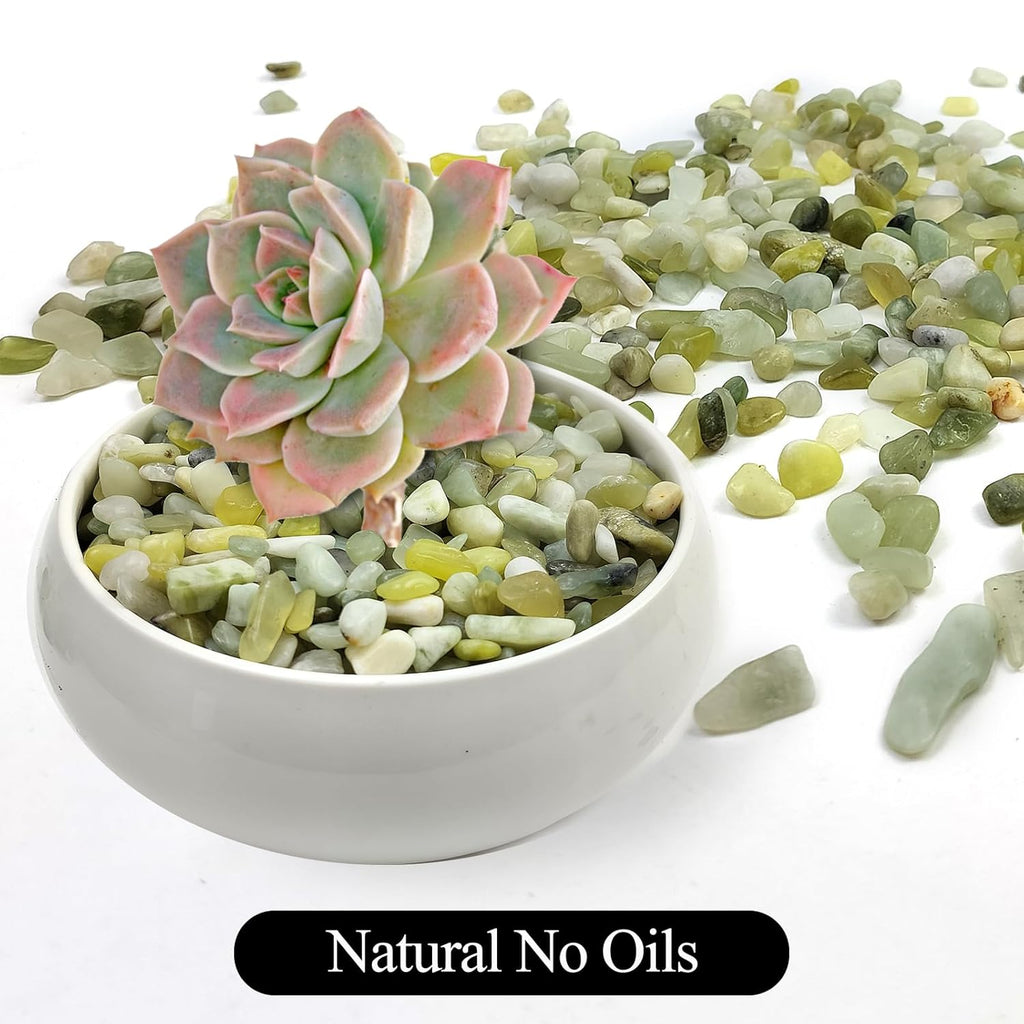 5LB Succulent Jade Pebbles, 3/8 Inch Natural Decorative Polished Stones, River Rocks for Vase, Flowerpot, Indoor and Garden Decoration