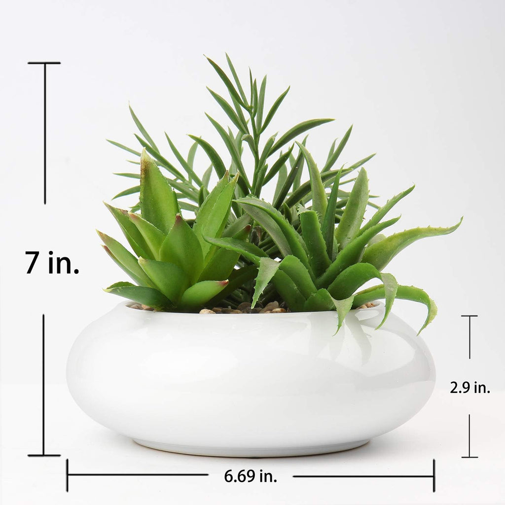 Hollyone Large Artificial Succulents Plants Faux Succulents in Pots Fake Succulent Plastic Potted Plants with White Ceramic Pot for Home Decor Office Desk Bathroom Shelf Living Room Decoration