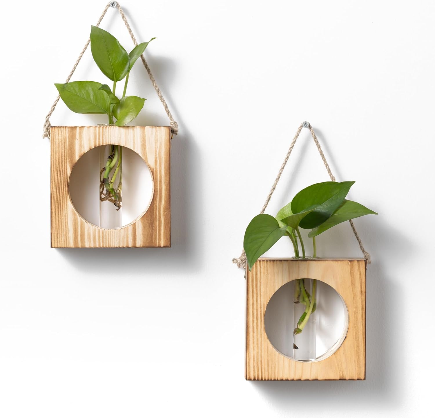 · GARDEN REPUBLIC · Propagation Stations Set of 2 - Propagation Vases for Plants - Hanging Wooden Wall Planter and Glass Test Tubes - Indoor Plant Holder, Hydroponic Decor
