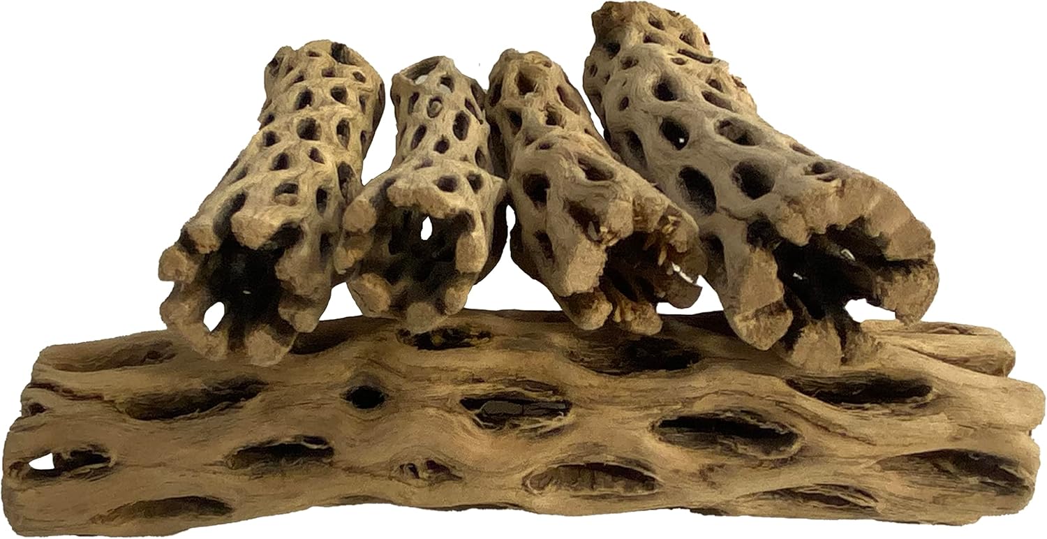 Awesome Aquatic Natural Cholla Choya Wood 5 Pieces 6” for Shrimp Habitat and Food Treat Hermit Crabs Plecos Aquarium Decoration Lowers pH Hideouts and Chew Toys Reptiles Thorn Free Dried Organic