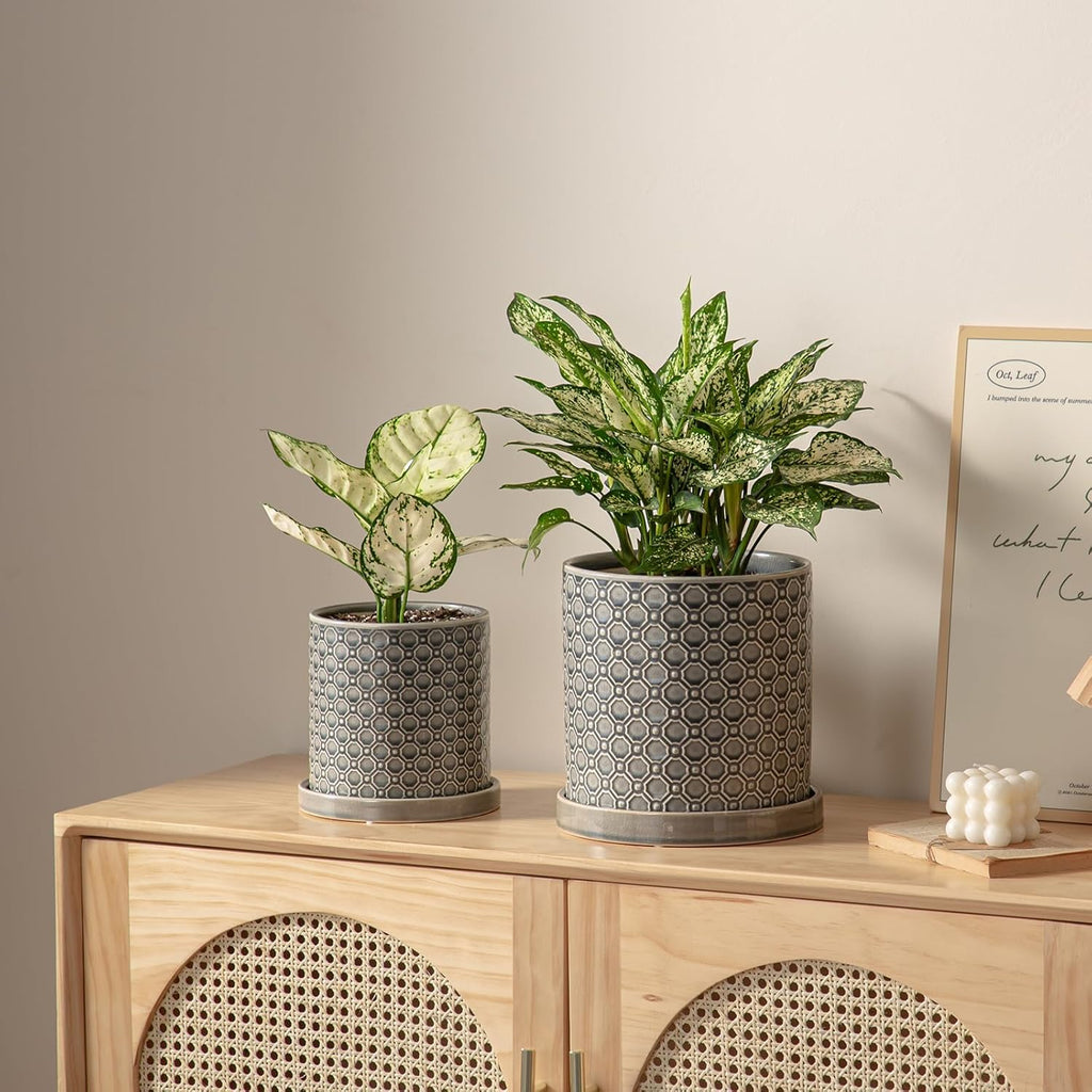 6 Inch Plant Pot: Ceramic Planter with Drainage Hole & Saucer Indoor Outdoor Plants - Cylinder Round Flower Pot for Home Office - Modern Decorative - Small Grey