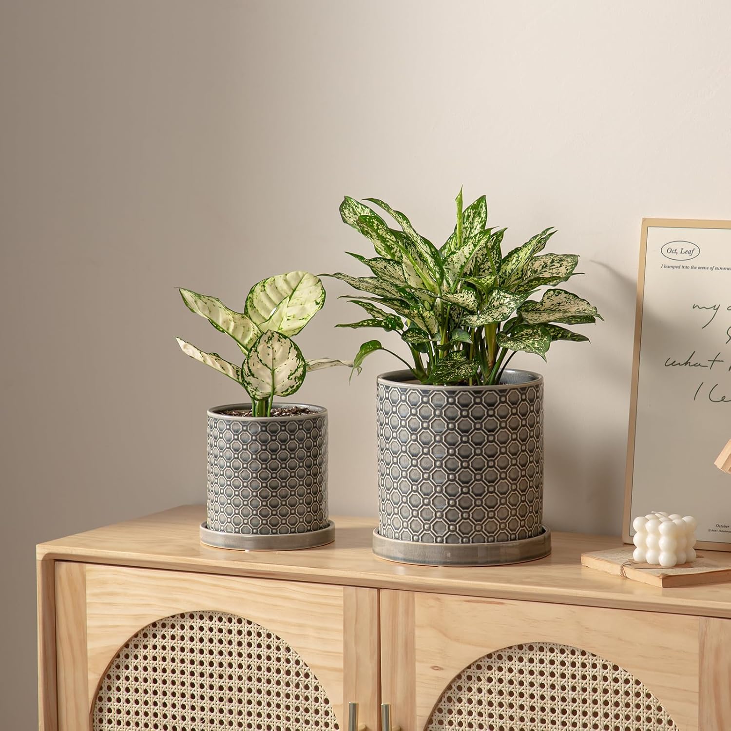 6 Inch Plant Pot: Ceramic Planter with Drainage Hole & Saucer Indoor Outdoor Plants - Cylinder Round Flower Pot for Home Office - Modern Decorative - Small Grey