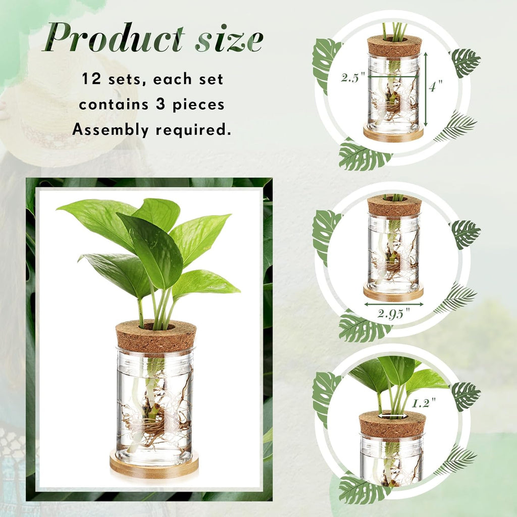 Baderke 12 Packs Propagation Vases for Plants Plastic Plant Propagation with Hole Lid and Bamboo Stand Growing in Water Hydroponic Home Office Desktop Vase Decoration(Classic Style)