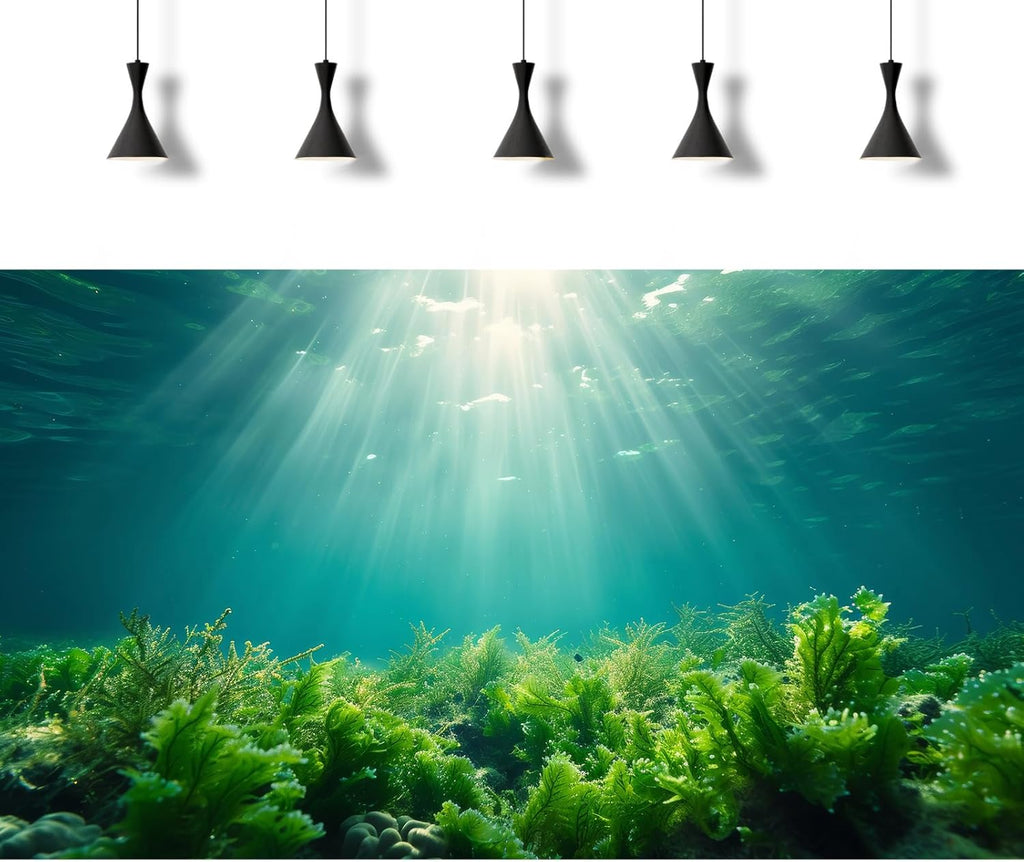 Deep Ocean Fish Tank Background Under The Sea Aquatic Plants Aquarium Background Underwater Corals Sunray Terrarium Backgrounds Tropical Fish Ocean World Aquarium Backgrounds Decorations 30x18in