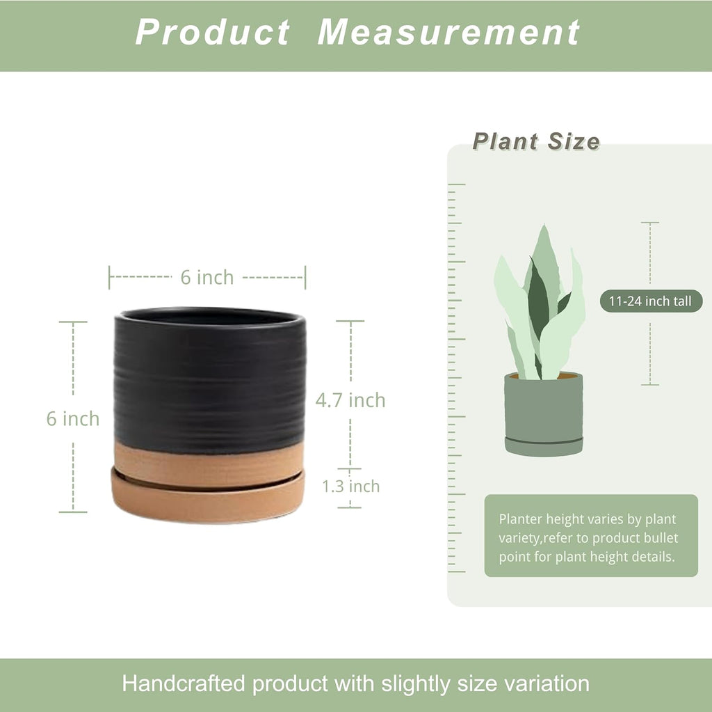 6 Inch Plant Pots, Ceramic Planter Pot with Drainage Hole & Saucer, Indoor/Outdoor Cylinder Round Planter Pot, Matte Black & Brown