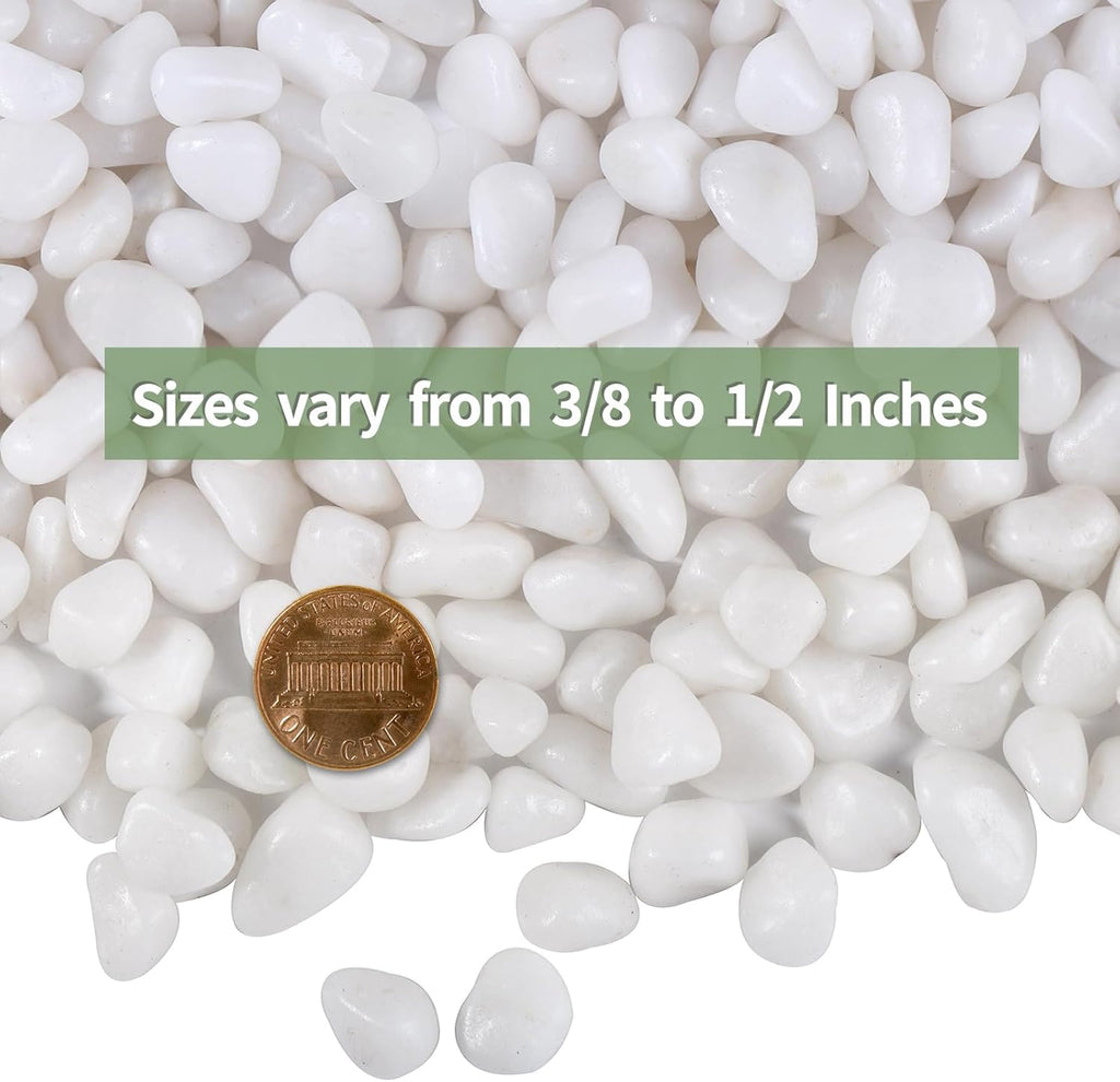 5 LB White Pebbles for Plants, 3/8 inch White Rocks for Vases Landscaping, Small Decorative Stones for Indoor Outdoor, Polished