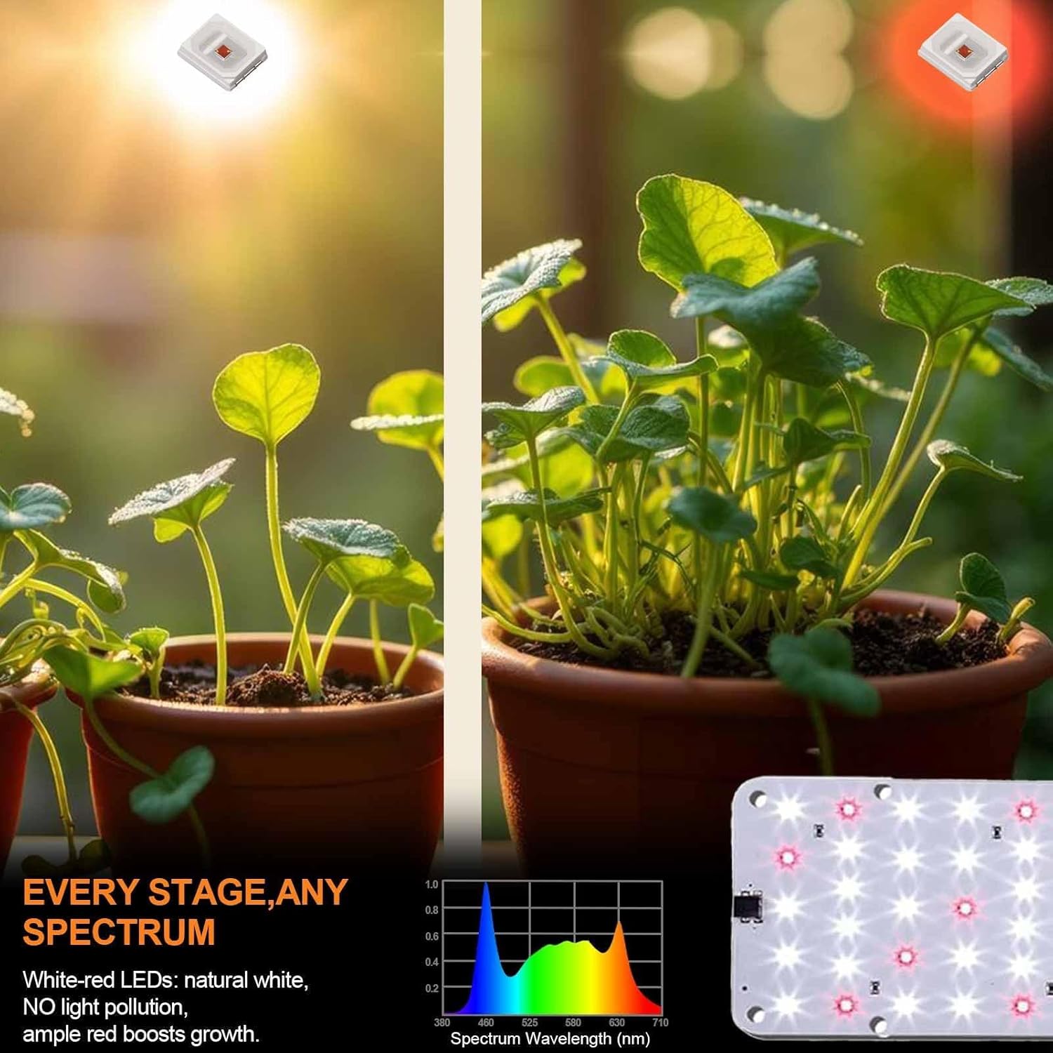 DOMMIA Grow Light, 20W Ultra-Thin Panel Grow Lights for Indoor Plants, High PPFD Full Spectrum, Dimmable, 6/12/16H Timer Auto on/Off, Suitable for Indoor Growing, Cold White 3-Pack