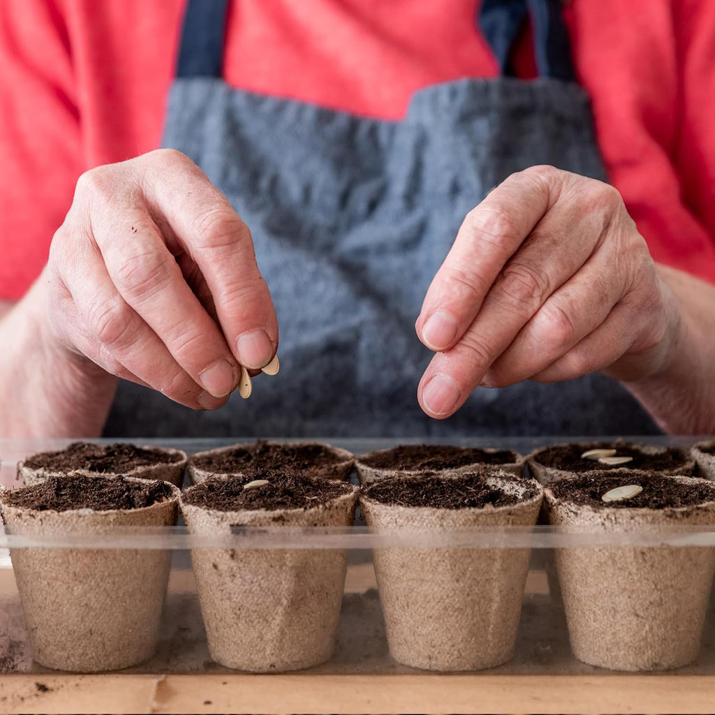 Sphagnum Peat Moss for Plants 2qt, Organic Garden Growing Soil Amendment and Media for Flowers, Vegetables, Herbs, Orchid, Indoor Houseplant